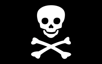 Typické Jolly Roger Flag Akejkoľvek Veľkosti 3x5ft Lietania Banner 100D Polyester Doprava Zadarmo Skull Jolly Roger